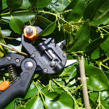 Grafting machine Garden Tools with 2 Blades Tree Grafting Tools Secateurs Scissors grafting tool Cutting Pruner jt001